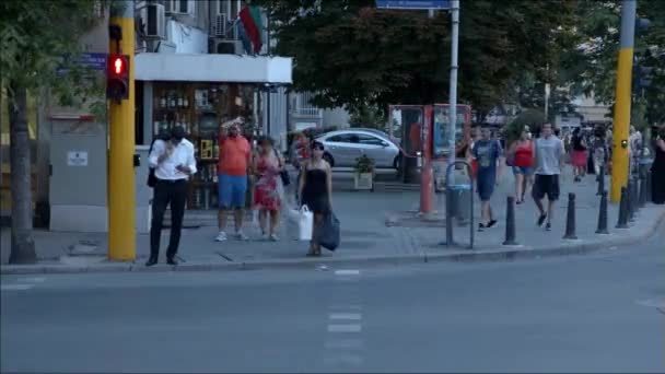 忙しいビジネスマンの歩行者信号のタイムラプス — ストック動画