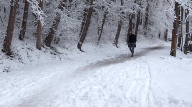 Adam Winter Park güzel kış doğada yürüyüş