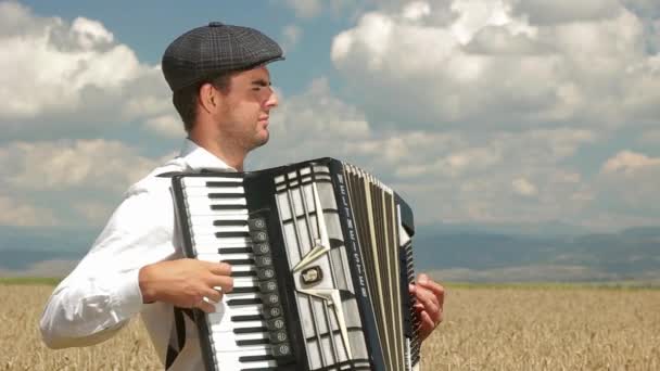 Музыкант играет аккордеон среди пшеничной полевой музыки и концепции природы — стоковое видео