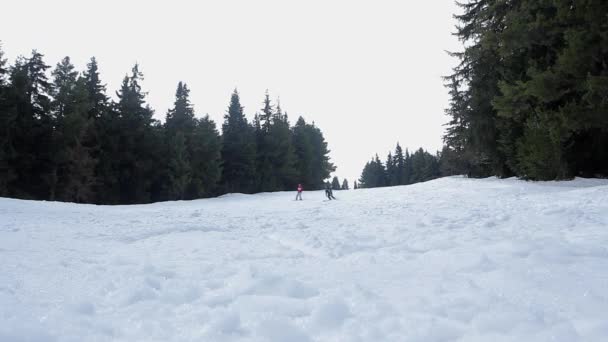 Двое мужчин катаются на лыжах вместе Концепция спорта и отдыха — стоковое видео