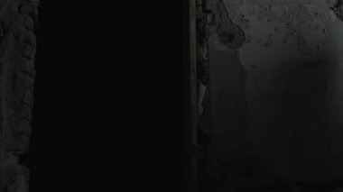 Doları sembolü mali kriz kavramı