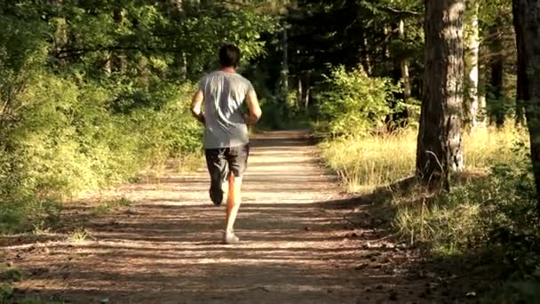 Jovem correndo na floresta — Vídeo de Stock