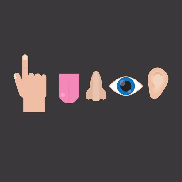 Duyu: görme, dokunma, koku, işitme, tat. Gri arka plan üzerinde düz stil anlamda. Simgeler duyu.