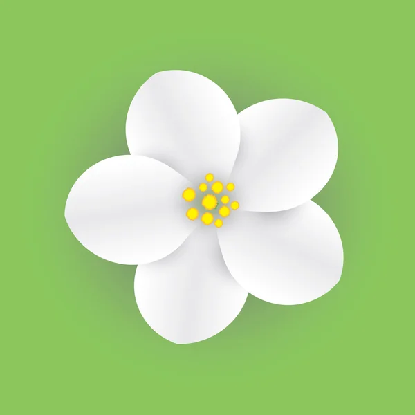 elma çiçek yeşil bir arka plan üzerinde.