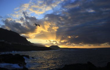 Garachico şehir, Tenerife Atlas Okyanusu'nda üzerinden günbatımı