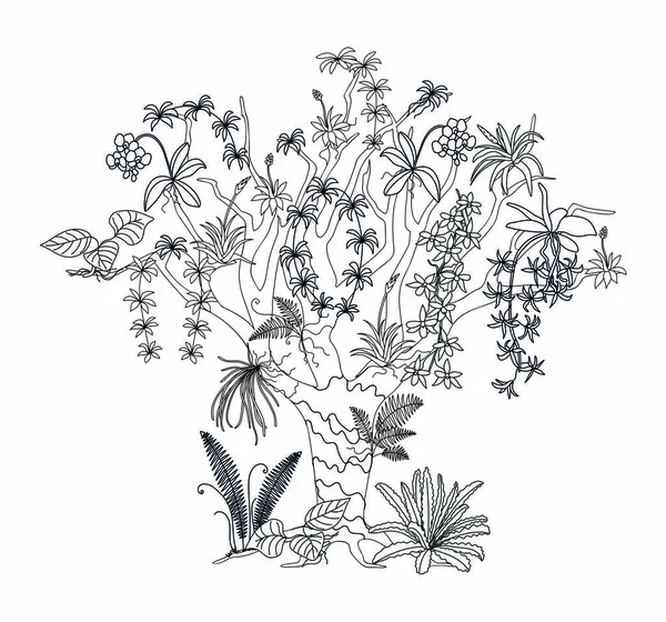 Esquema Árbol Epífitas Ilustración Con Flores Tropicales Para Adultos Niños — Vector de stock