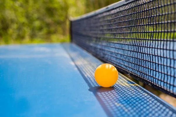 Blue table tennis or ping pong.