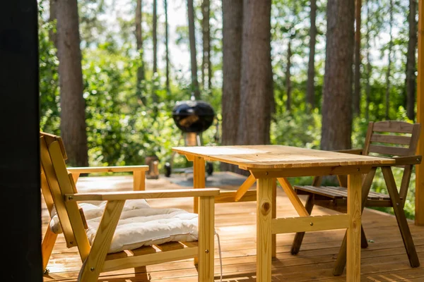 Barbecue Grill Beer Grilled Vegetables Front Idyllic Backyard Outdoor Party — Stock Photo, Image