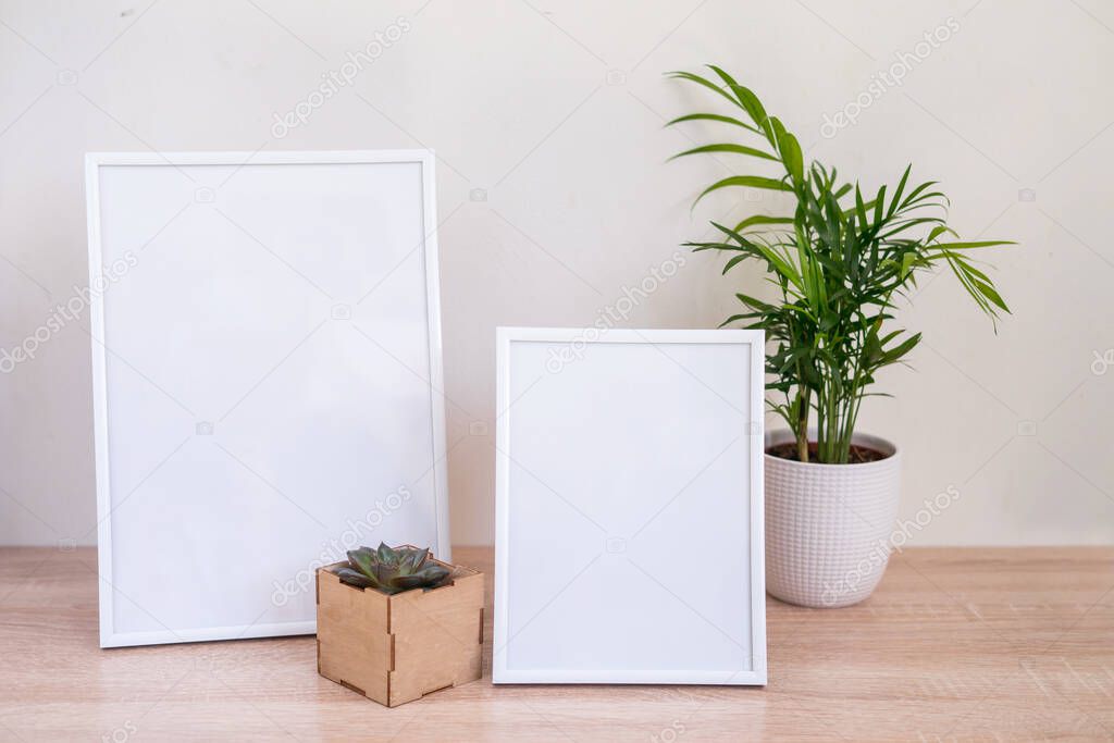 Portrait and square wooden picture frames mockups with palm and succulent. 