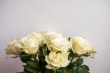 Masada portre beyaz çerçeve modeli. Rosesİskandinav iç mimarisi olan modern vazo.