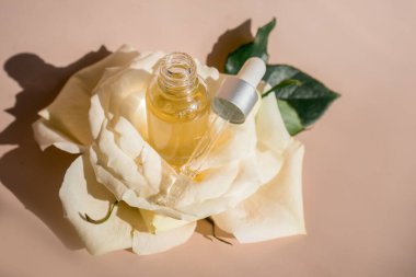 Aromaterapi. Beyaz çiçekler ve taç yaprakları, cam şişede gül yağı. - Evet. Yüksek kalite fotoğraf