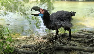 Gastornis By River (Terror Bird) clipart