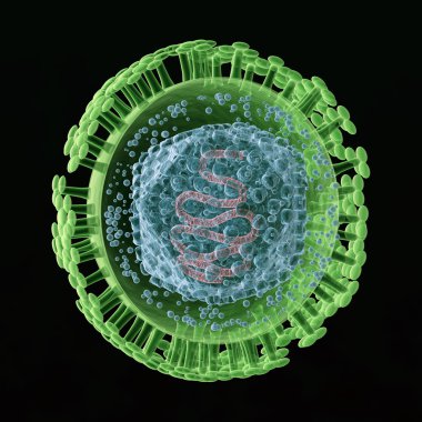 Herpes virüs illüstrasyon