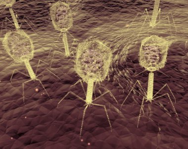 Bacteriophage Viruses Up-Close clipart