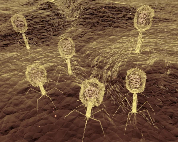 Бактериофаговые вирусы атакуют бактерии — стоковое фото