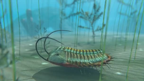 Trilobite en la animación del fondo del mar — Vídeo de stock