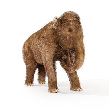 Baby Woolly Mammoth Illustration clipart