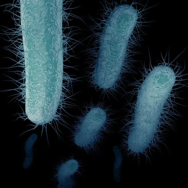 Carbapenem-Resistant Enterobacteriaceae (CRE) Swimming — Stok fotoğraf