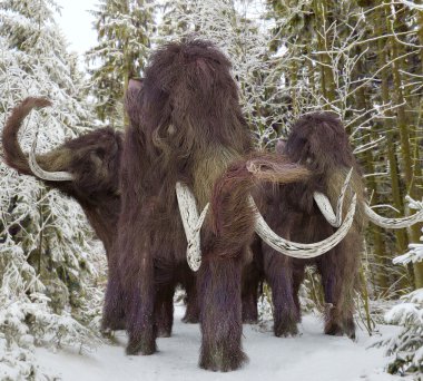 Woolly Mammoths On Parade clipart