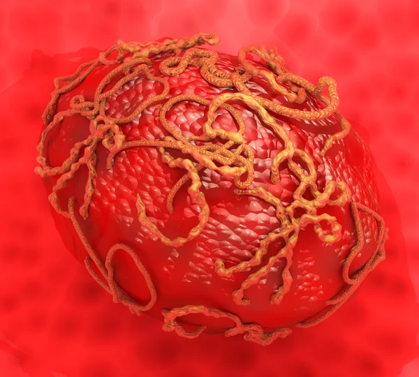 Клетка окружения вируса Эбола : — стоковое фото