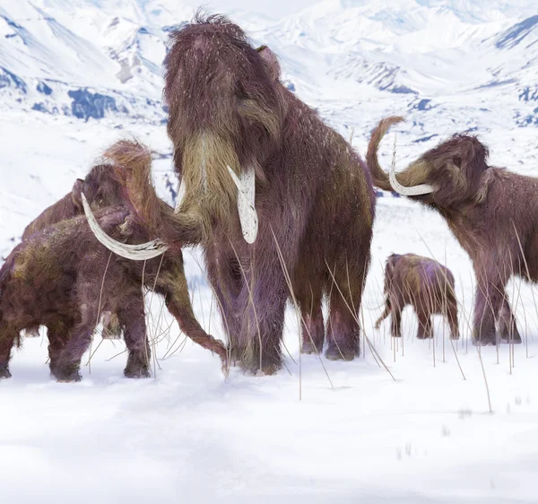 Сцена ледникового периода шерстистых мамонтов — стоковое фото