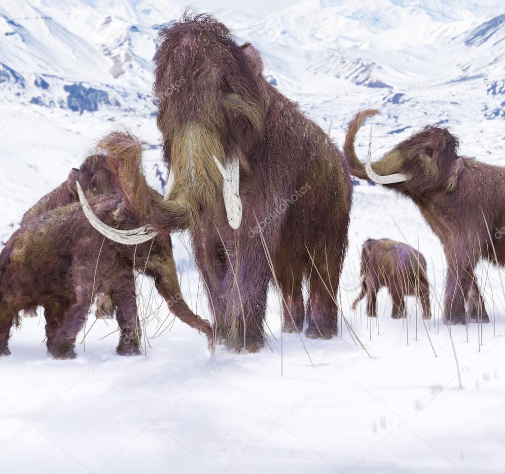 Wooly Mammoth Ice Age Scene