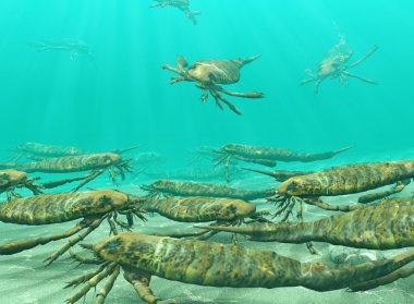 Eurypterids Gathering To Spawn clipart