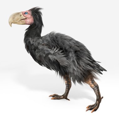 Gastornis (Terror Bird)