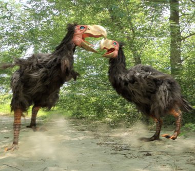 Gastornis Fighting (Terror Birds)