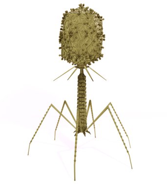 Bacteriophage Virus clipart