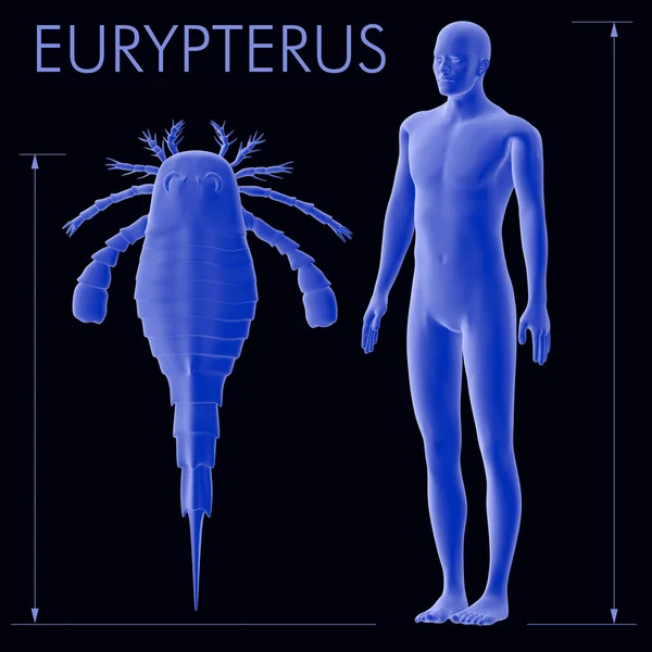 Eurypterus And Human Size Comparison — Stock Fotó