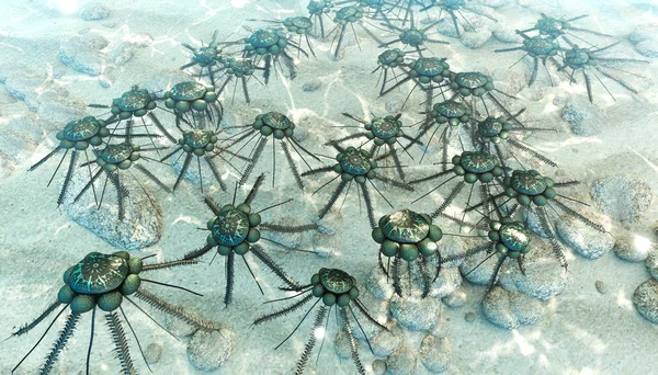 Diplograptus (Graptolites) Colonies In A Shallow Sea
