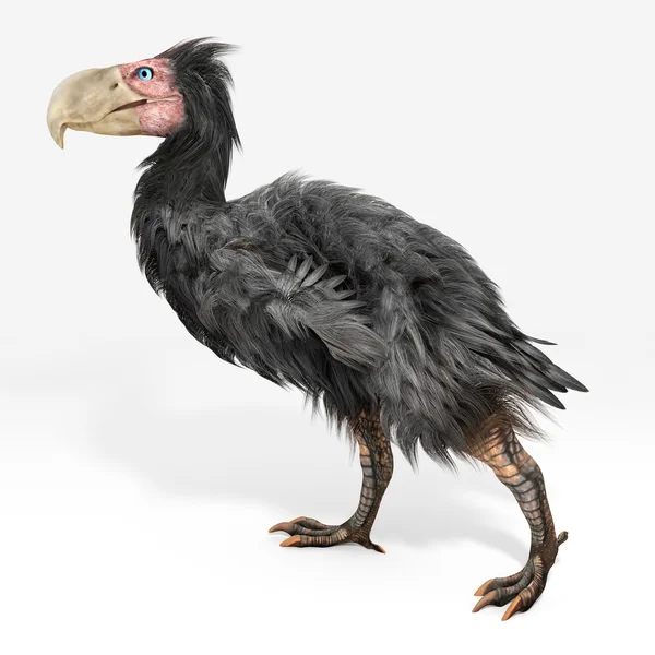 Gastornis (Terror Bird) — Zdjęcie stockowe