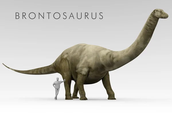 Dinosaur Apatosaurus And Human Size Comparison — Stockfoto