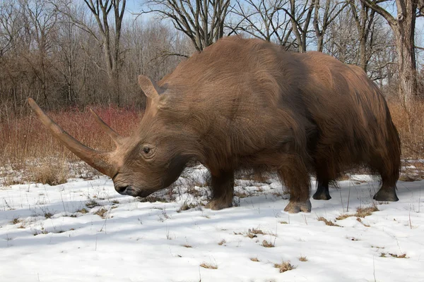 Woolly Rhinoceros In Ice Age Forest — 图库照片