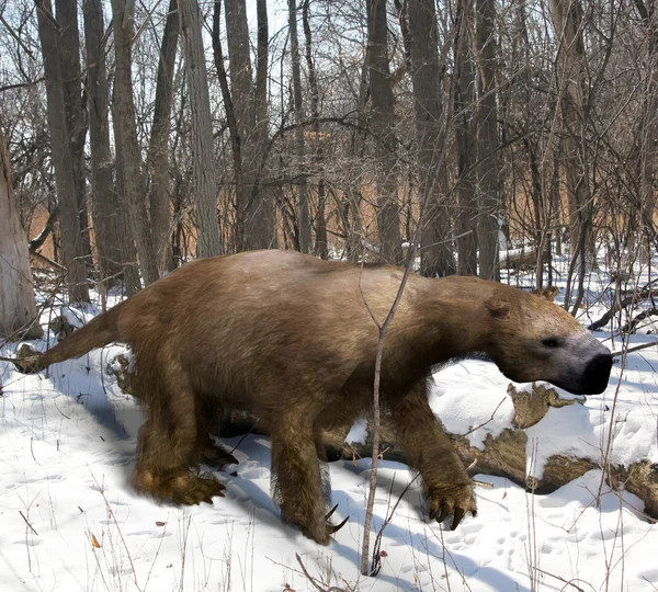 Megalónice en el bosque de la Edad de Hielo — Foto de Stock