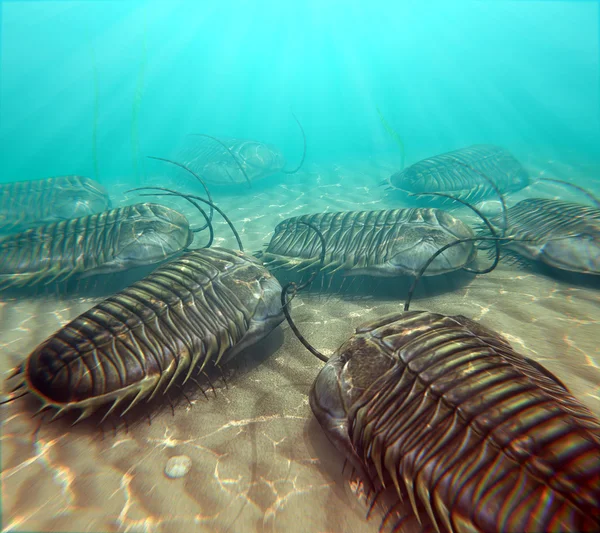 Trilobiti che raschiano sul fondo del mare — Foto Stock