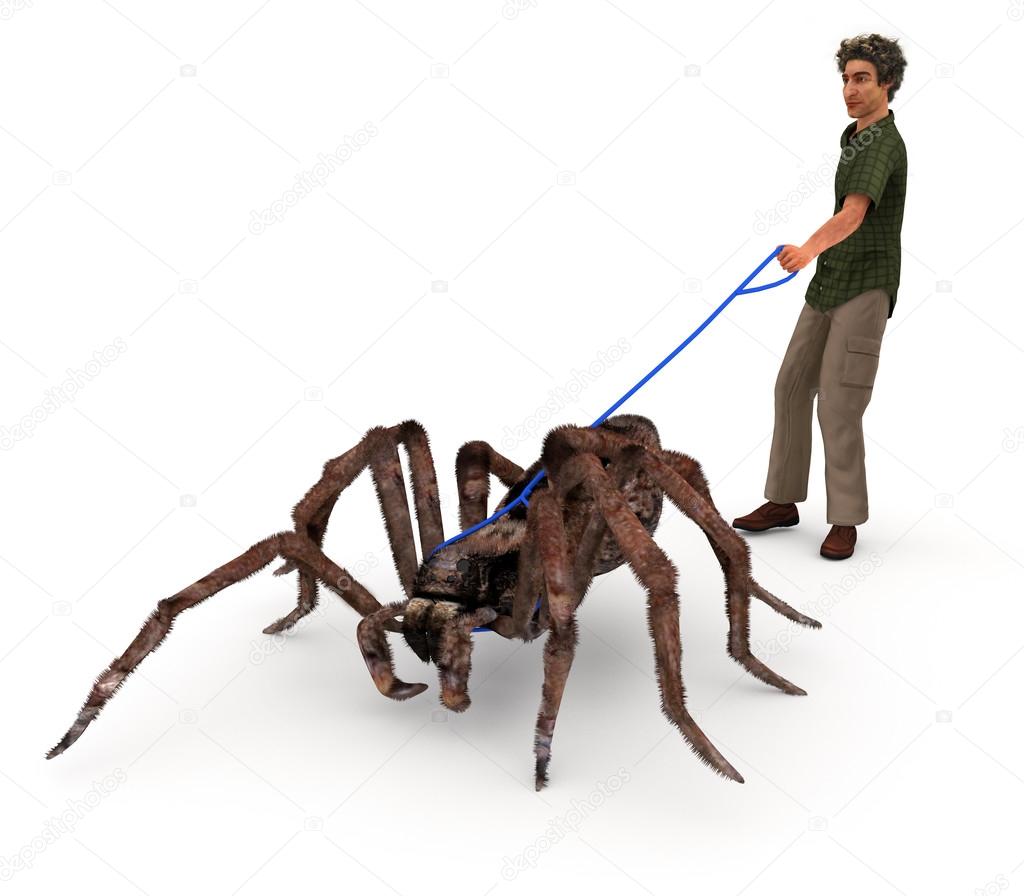Taking A Spider For A Walk