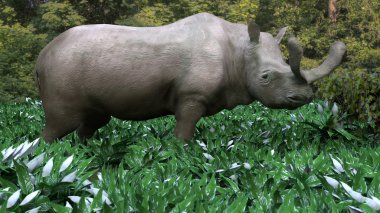 Brontotherium otlatma bitki örtüsü