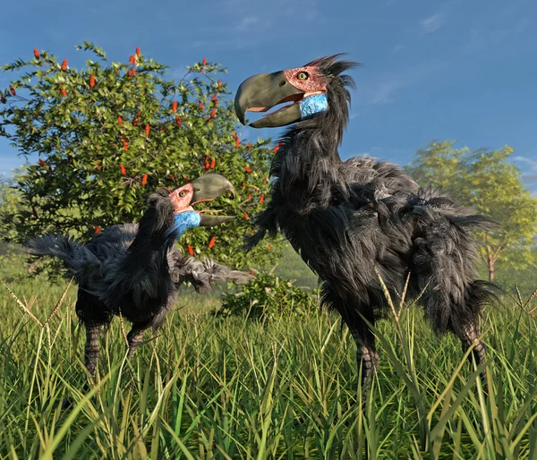 Aves del terror en los humedales — Foto de Stock