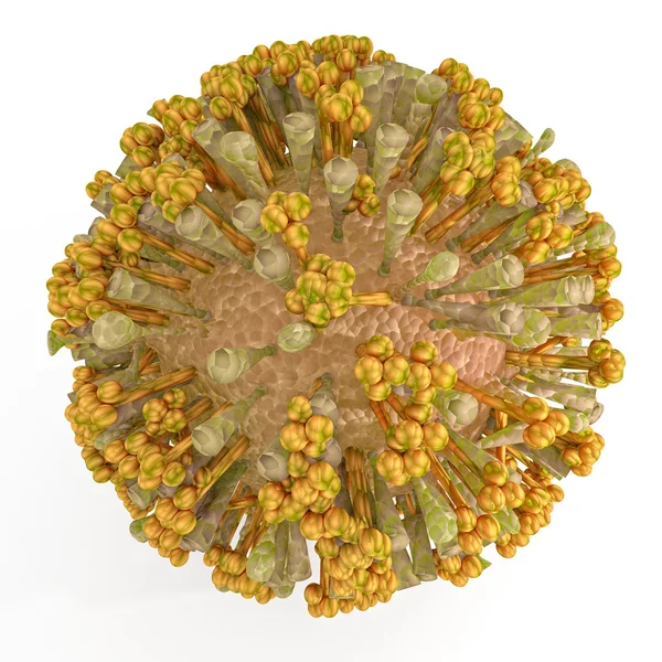 Chikungunya Virus Illustration — Stock Photo, Image