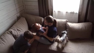 Canlı aile sahnesi, çocuklar ve yavru köpekler oynuyor. Gün ışığına yakın çocuklar ve köpeklerle çekilen mutlu aile anları. Heyecan verici aile toplantısı. Çocuklar ve köpekler gün ışığında mutlu bir şekilde oynuyorlar.