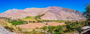 Paiguano ya da Paihuano manzaralı üzüm bağları ve dağlar, Valle del Elqui Elqui, Coquimbo Bölgesi.