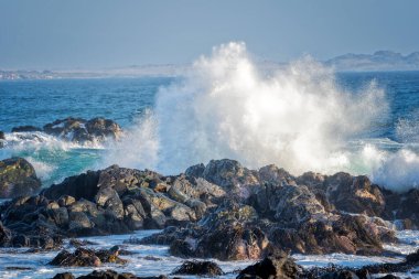 Pasifik Okyanusu manzarasında kayalara karşı dalgalar