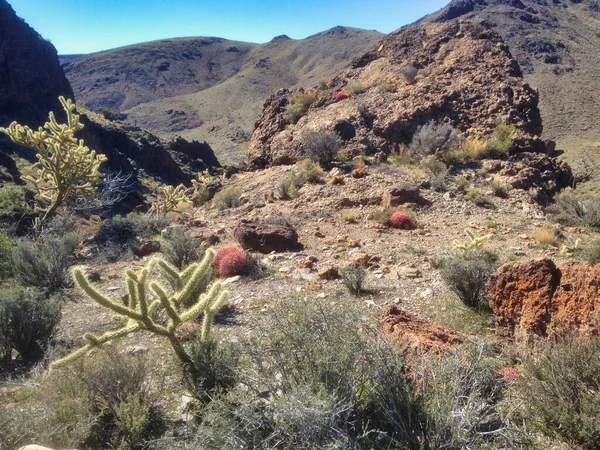 Die Hohe Wüste Der Mojave Entlang Der Loopstrecke Von Hole — Stockfoto