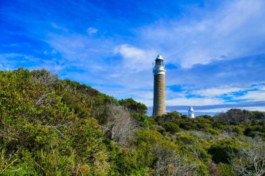 The granite Eddystone Lighthouse (1889) in Mount William National Park, in the northeast of Tasmania, Australia, rises up from dense coastal heathland