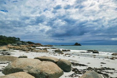 Tazmanya, Avustralya 'daki William Dağı Ulusal Parkı' nın uzak doğu kıyısında. Beyaz kumsallar, granit kayalar ve bulutlu bir gökyüzü.