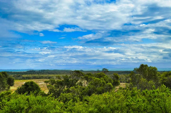William Dağı Ulusal Parkı 'nın kuzeyinden, Tazmanya, Avustralya. Kıyı bitkileri, otlak ovalar, uzaktaki adalar..