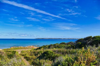 Denize giden patika, kıyı bitkilerinden geçiyor. Waterhouse Koruma Alanı, kuzeydoğu Tazmanya, Avustralya. Uzaklarda Küçük Su Evi Adası Bir Su Evi Adası.