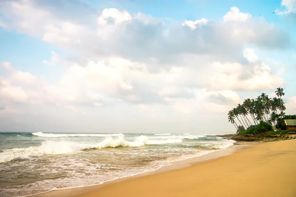 Ocean beach. Sunrise, Srí Lanka — Stock fotografie